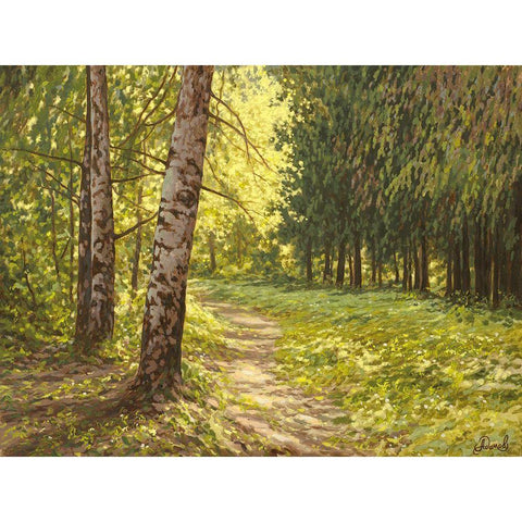 The Path to the Forest II White Modern Wood Framed Art Print by Adamov, Alexey