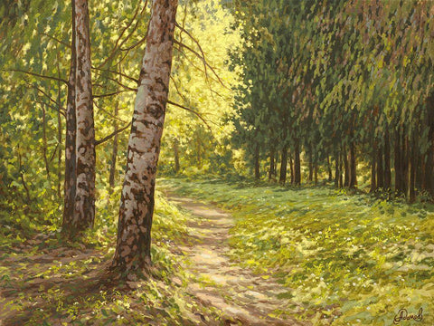 The Path to the Forest II White Modern Wood Framed Art Print with Double Matting by Adamov, Alexey