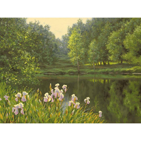 Iris by the River Black Modern Wood Framed Art Print with Double Matting by Adamov, Alexey