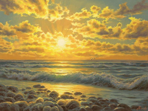 Sunset over the  Sea with Seagulls White Modern Wood Framed Art Print with Double Matting by Adamov, Alexey