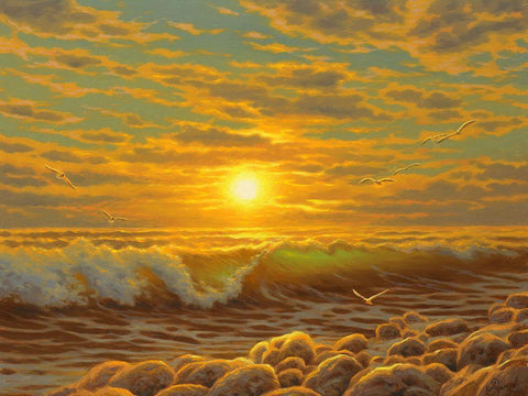 Sunset over the  Sea with Seagulls II Black Ornate Wood Framed Art Print with Double Matting by Adamov, Alexey