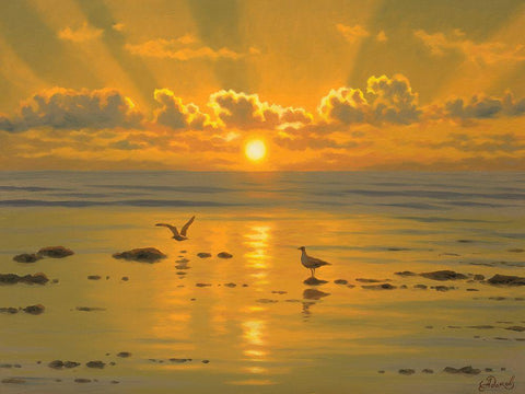 Sunset over the  Sea with Seagulls III White Modern Wood Framed Art Print with Double Matting by Adamov, Alexey