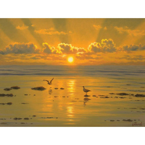Sunset over the  Sea with Seagulls III White Modern Wood Framed Art Print by Adamov, Alexey