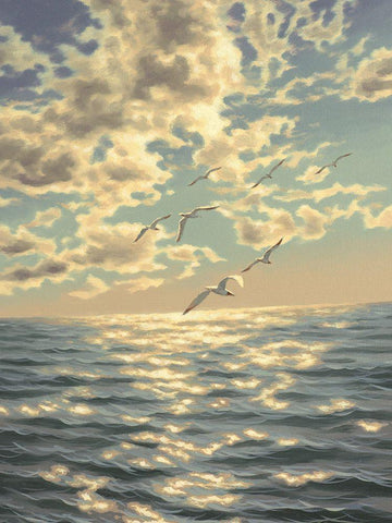 Seagulls White Modern Wood Framed Art Print with Double Matting by Adamov, Alexey