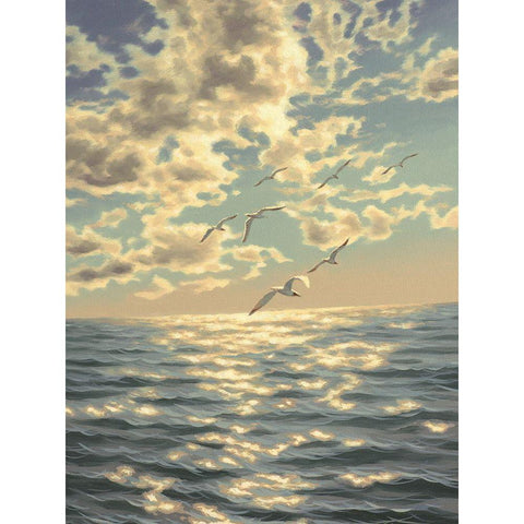 Seagulls Black Modern Wood Framed Art Print by Adamov, Alexey