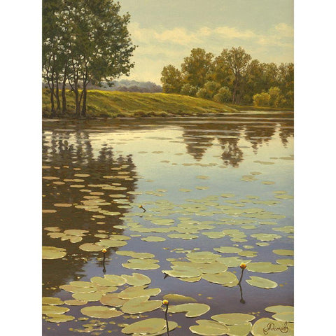 Water Lilies on the River V White Modern Wood Framed Art Print by Adamov, Alexey