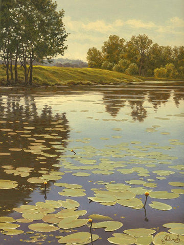 Water Lilies on the River V Black Ornate Wood Framed Art Print with Double Matting by Adamov, Alexey