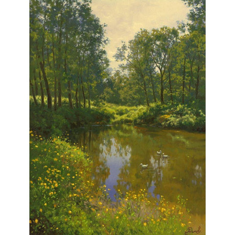 Small Ducks on the Pond White Modern Wood Framed Art Print by Adamov, Alexey