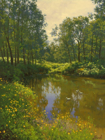 Small Ducks on the Pond Black Ornate Wood Framed Art Print with Double Matting by Adamov, Alexey