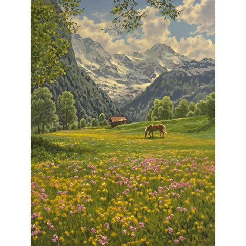 Brown Horse in the Mountains Black Modern Wood Framed Art Print with Double Matting by Adamov, Alexey