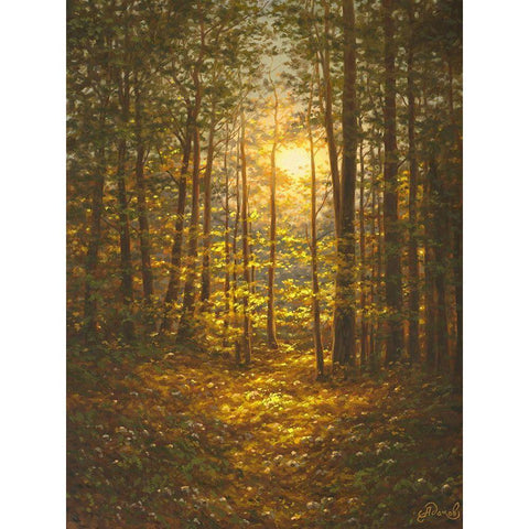 Sunbeams through the Forest Black Modern Wood Framed Art Print with Double Matting by Adamov, Alexey