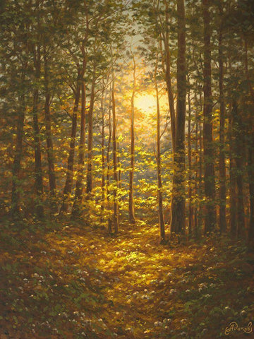Sunbeams through the Forest Black Ornate Wood Framed Art Print with Double Matting by Adamov, Alexey