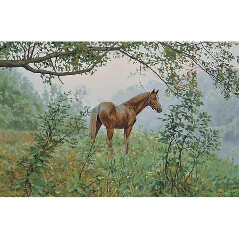 Landscape with a Horse White Modern Wood Framed Art Print by Adamov, Alexey