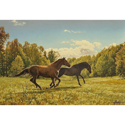 Running Horses II White Modern Wood Framed Art Print by Adamov, Alexey