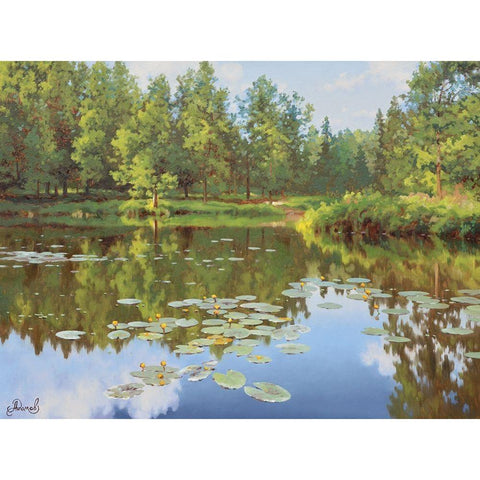 Watter Lilly Black Modern Wood Framed Art Print with Double Matting by Adamov, Alexey