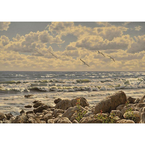 Sea, Etude of Stones Black Modern Wood Framed Art Print with Double Matting by Adamov, Alexey