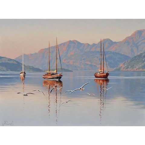 Yacht and Seagulls White Modern Wood Framed Art Print by Adamov, Alexey