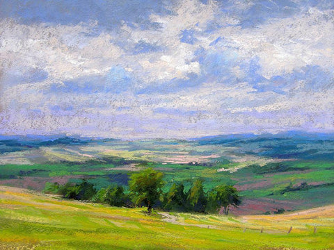 Cloud Shadows II Black Ornate Wood Framed Art Print with Double Matting by Chaney, Alan