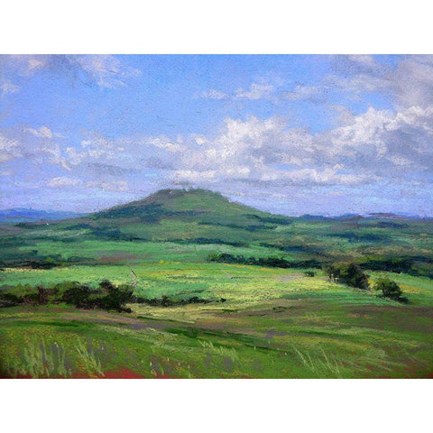 Early Summer Black Modern Wood Framed Art Print with Double Matting by Chaney, Alan