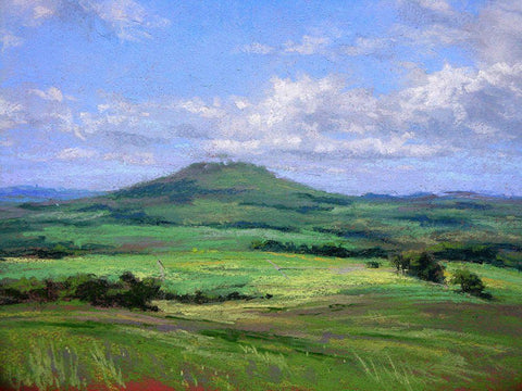 Early Summer White Modern Wood Framed Art Print with Double Matting by Chaney, Alan