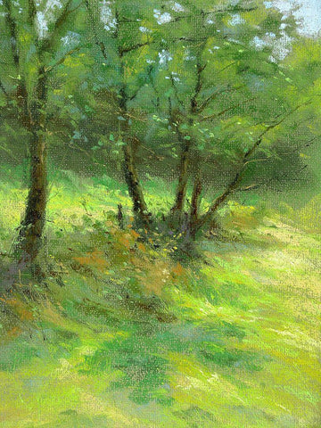 Hedgerow Trees Black Ornate Wood Framed Art Print with Double Matting by Chaney, Alan