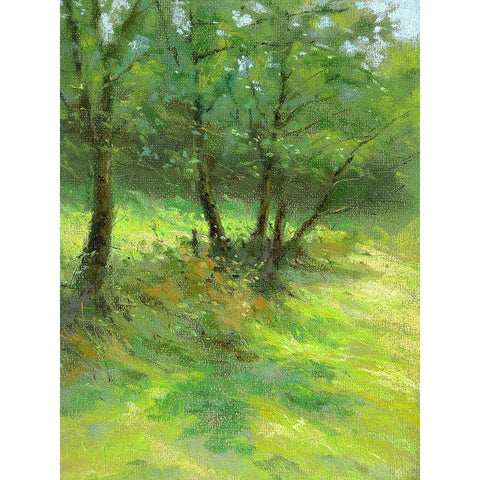 Hedgerow Trees Black Modern Wood Framed Art Print by Chaney, Alan