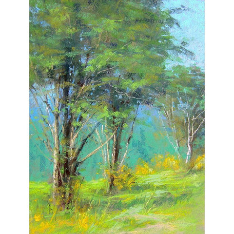 Trees in Spring Black Modern Wood Framed Art Print with Double Matting by Chaney, Alan