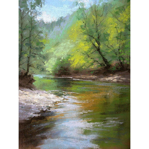 River Bank Black Modern Wood Framed Art Print with Double Matting by Chaney, Alan