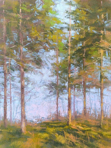 Trought The Trees White Modern Wood Framed Art Print with Double Matting by Chaney, Alan