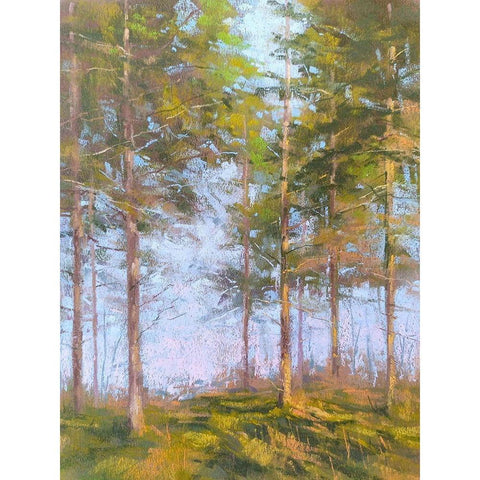 Trought The Trees Gold Ornate Wood Framed Art Print with Double Matting by Chaney, Alan