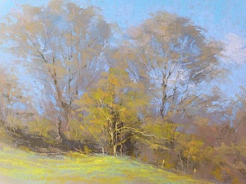 Sunny Autumn Day White Modern Wood Framed Art Print with Double Matting by Chaney, Alan