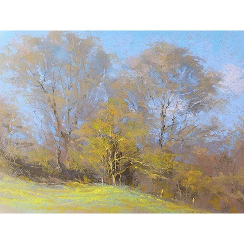 Sunny Autumn Day Black Modern Wood Framed Art Print by Chaney, Alan