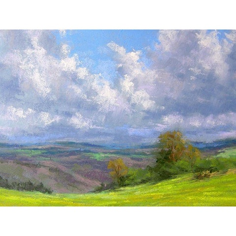 A Spring Day Black Modern Wood Framed Art Print with Double Matting by Chaney, Alan