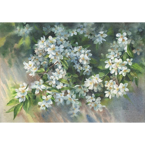 Jasmin Branch on the Fence Black Modern Wood Framed Art Print with Double Matting by Besedina, Anastasiia