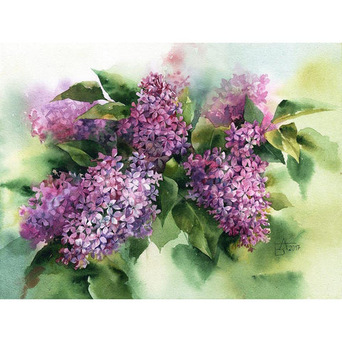 Lilac Black Modern Wood Framed Art Print by Besedina, Anastasiia