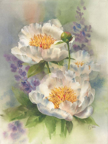 White Peonies White Modern Wood Framed Art Print with Double Matting by Besedina, Anastasiia