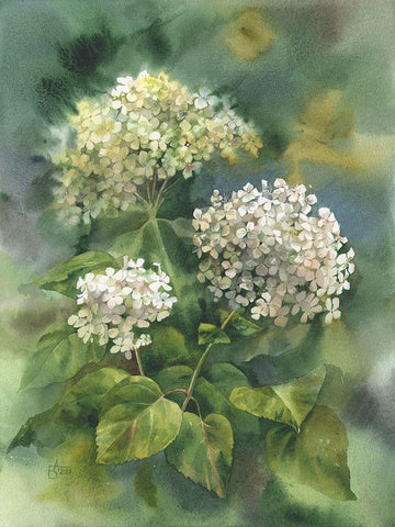 White Hydrangeas White Modern Wood Framed Art Print with Double Matting by Besedina, Anastasiia