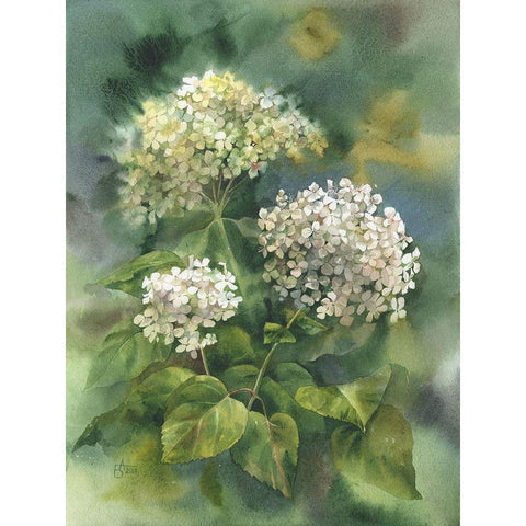 White Hydrangeas White Modern Wood Framed Art Print by Besedina, Anastasiia
