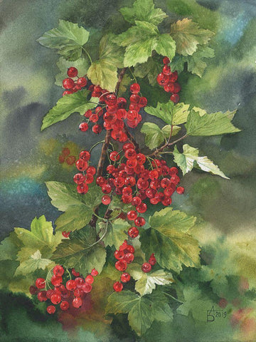 Red Currant White Modern Wood Framed Art Print with Double Matting by Besedina, Anastasiia