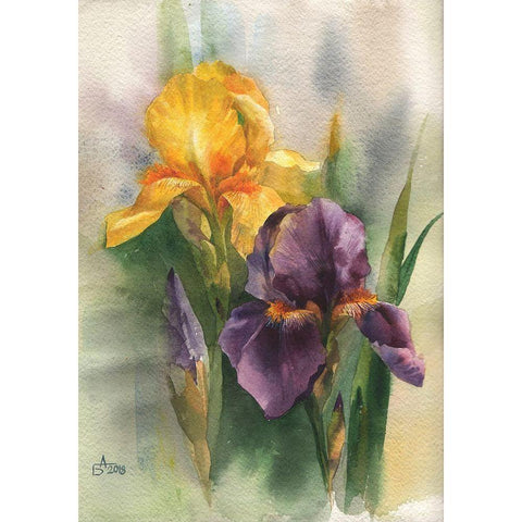 Yellow and Purple Iris Gold Ornate Wood Framed Art Print with Double Matting by Besedina, Anastasiia