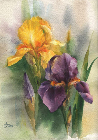 Yellow and Purple Iris Black Ornate Wood Framed Art Print with Double Matting by Besedina, Anastasiia
