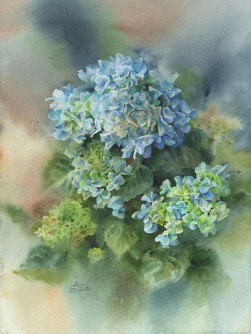 Blue Hydrangea White Modern Wood Framed Art Print with Double Matting by Besedina, Anastasiia