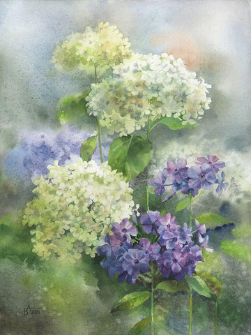 Hydrangea and Phloxes White Modern Wood Framed Art Print with Double Matting by Besedina, Anastasiia