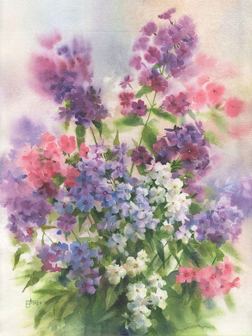 Phlox Smell White Modern Wood Framed Art Print with Double Matting by Besedina, Anastasiia