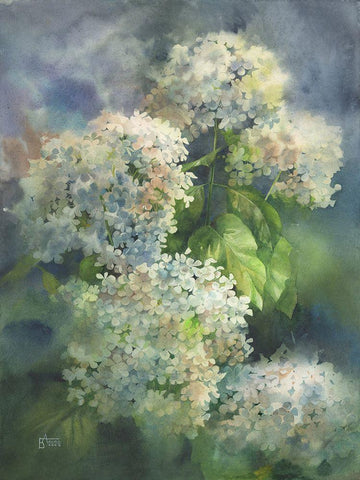 Solar Hydrangeas White Modern Wood Framed Art Print with Double Matting by Besedina, Anastasiia