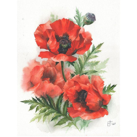 Red Poppies Black Modern Wood Framed Art Print with Double Matting by Besedina, Anastasiia