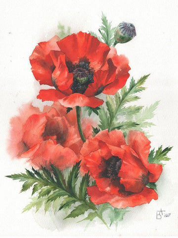 Red Poppies White Modern Wood Framed Art Print with Double Matting by Besedina, Anastasiia