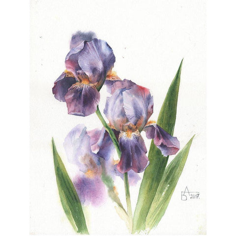 Iris Gold Ornate Wood Framed Art Print with Double Matting by Besedina, Anastasiia