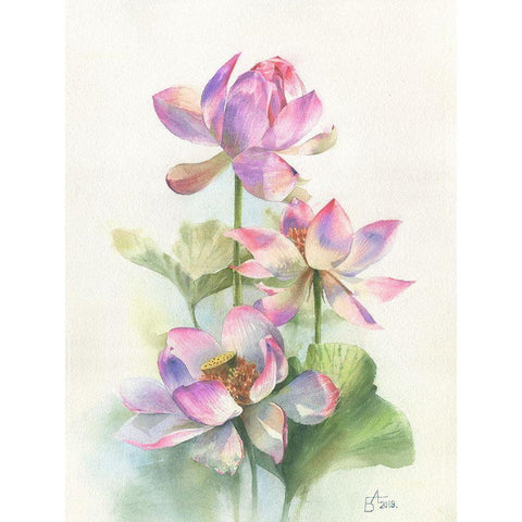 Lotos Black Modern Wood Framed Art Print by Besedina, Anastasiia