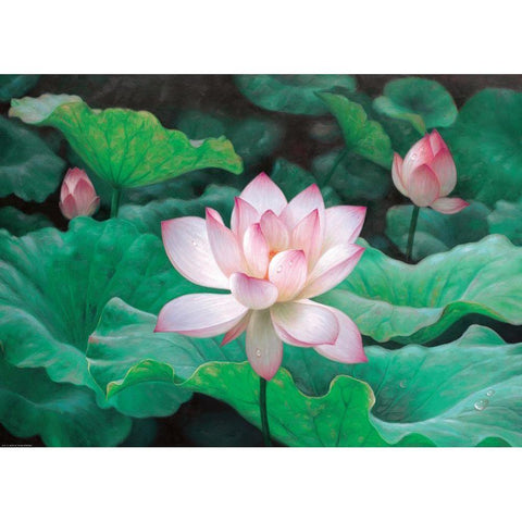 Water Lilly White Modern Wood Framed Art Print by Chen Wu